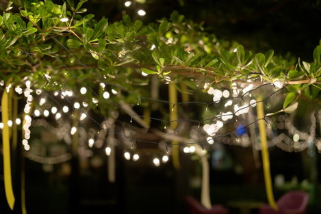 Sygonix SY-4722054 Fényfüzér Beltérre/kültérre Hálózatról üzemeltetett Fényforrások száma 200 LED Me 3. kép