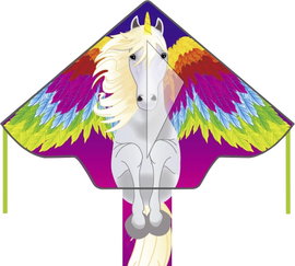 Ecoline Egy zsinóros Sárkány Egyszerű Flyer Pegasus Fesztáv 1200 mm Szélerősség 2 - 5 bft