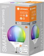 LEDVANCE SMART+ EEK: F (A - G) G95 RGBW E27 14 W RGBW 2. bélyegkép
