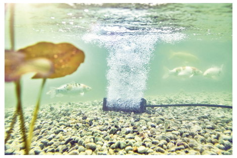 Oase 88668 AquaOxy S Szellőztető rúd 3. kép