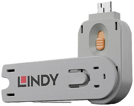 LINDY Lindy 40623 accessorio del dispositivo di ingresso (USB Type A Port Blocker Key, USB-A port ku