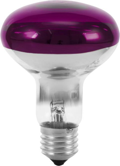 Eurolite 9210440U Halogén E27 Reflektor 60 W Viola (Ø x H) 80 mm x 110 mm 1 db