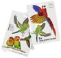 Gardigo Stickers Native Birds Ablakkép Funkcióelv Elriasztás 1 db bélyegkép