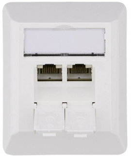 Telegärtner J00023A0204 Hálózati csatlakozódoboz Falra szerelhető CAT 6A 2 port Alpesi fehér