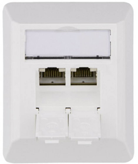 Telegärtner J00023A0204 Hálózati csatlakozódoboz Falra szerelhető CAT 6A 2 port Alpesi fehér