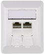 Telegärtner J00023A0204 Hálózati csatlakozódoboz Falra szerelhető CAT 6A 2 port Alpesi fehér bélyegkép