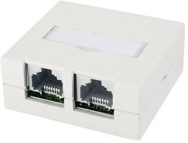 Telegärtner J00023A0056 Hálózati csatlakozódoboz Falra szerelhető CAT 6 Tiszta fehér