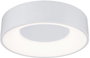 Paulmann 78946 HomeSpa Casca LED-es mennyezeti lámpa LED 16.00 W Fehér 4. bélyegkép