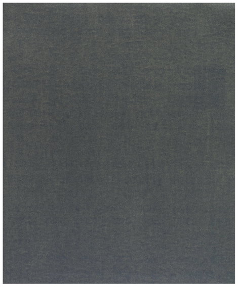 Bosch Accessories C355 2608608H67 Csiszolólap Szemcsézet 400 (Sz x Ma) 230 mm x 280 mm 1 db