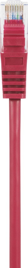 Renkforce RF-5043842 RJ45 Hálózati kábel, patchkábel CAT 5e U/UTP 0.50 m Piros Védővel 1 db 2. bélyegkép