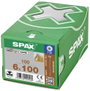 SPAX 251010601005 Facsavar 6 mm 100 mm Torx, E TORX Acél Galvanikusan cinkezett 100 db 3. bélyegkép