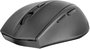 SpeedLink CALADO Silent Mouse Ergonomikus egér Rádiójel vezérlésű Optikai Fekete 5 Gombok 1600 dpi E 3. bélyegkép