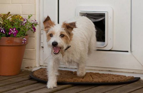SureFlap Mikrochip Pet door Háziállat ajtó Barna 1 db 2. kép