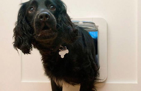 SureFlap Mikrochip Pet door Háziállat ajtó Barna 1 db 3. kép