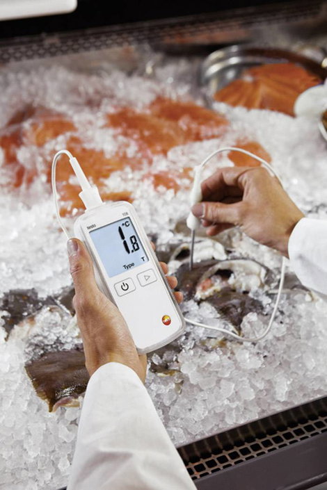 Beszúrós hőmérséklet mérő műszer, -50...+300 °C, T típus (Cu-CuNi), K típus (NiCr-Ni), Testo 108 3. kép