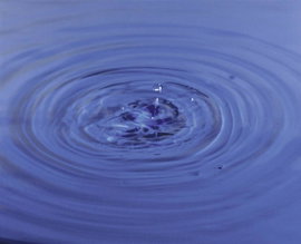 Nitrát / nitrogén tartalom tesztcsík