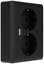 2USB 2U-449719 Süllyeszthető doboz USB-C®-vel, USB töltőkimenettel Fekete (matt) 2. bélyegkép