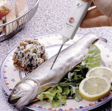 Beszúró hőmérő, HACCP ételhőmérő -50 től +230 °C-ig Testo 106-T1 3. kép