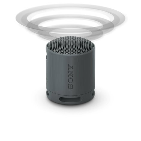 Sony SRSXB100B.CE7 Bluetooth hangfal Kihangosító funkció, Fröccsenő víz ellen védett Fekete 5. kép