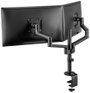 Neomounts DS60-425BL2 2 részes Monitor asztali tartó 43,2 cm (17) - 68,6 cm (27) Fekete Dönthető, Fo 5. bélyegkép