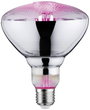 Paulmann LED növény lámpa, növekedés PAULMANN 230 V E27 6.5 W Borostyán 1 db bélyegkép
