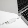 LogiLink UA0144B Hálózati adapter 100 MBit/s USB 2.0, RJ45 6. bélyegkép