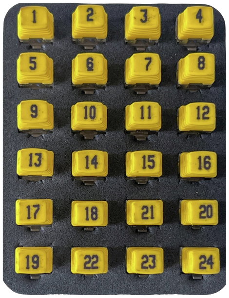 Remote Identifier 226581 Softing PD_RK224 Hálózat