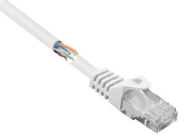 Renkforce RJ45 Hálózati kábel, patchkábel CAT 5e U/UTP 0.25 m Fehér Védővel 1 db