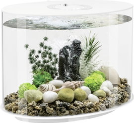 OASE biOrb 86415 biOrb LOOP 30 LED weiß Akvárium EEK: G (A - G) 30 l LED-es világítással