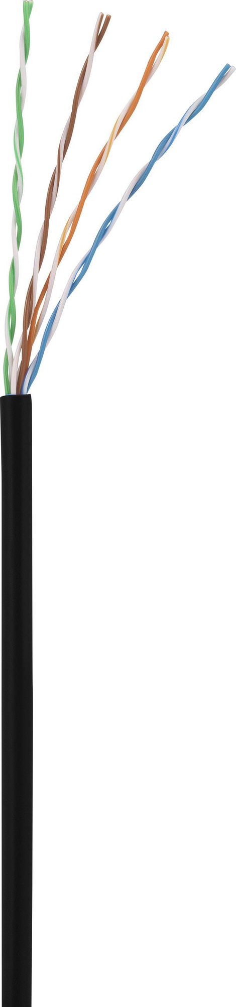 Renkforce RJ45 Hálózati kábel, patchkábel CAT 5e U/UTP 0.25 m Fekete Védővel 1 db 3. kép