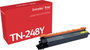 Xerox Toner kazetta helyettesíti Brother TN248Y Kompatibilis Sárga 1000 oldal Everyday™ 006R04874 bélyegkép