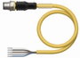 Turck 6629933 Érzékelő-/működtető csatlakozóvezeték 2 m Pólusszám: 5 1 db 2. bélyegkép
