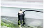 Eden WaterParadise RCA 25 94150 Akvárium fűtés 2. bélyegkép