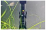 Eden WaterParadise RCA 25 94150 Akvárium fűtés 4. bélyegkép