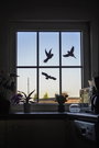 Ablakkép Elriasztás Gardigo Birdprotection 5 db 3. bélyegkép