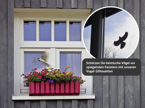 Ablakkép Elriasztás Gardigo Birdprotection 5 db 6. kép