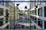Ablakkép Elriasztás Gardigo Birdprotection 5 db 8. bélyegkép