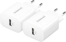 Intenso W5A white double pack USB-C adapter 5 W USB-A Fehér Aljzat dugó