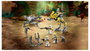 LEGO® STAR WARS™ 75431 A 327. klónkatonái Star Corps harci csomag 3. bélyegkép