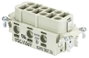 Wieland Electric 72.200.0653.0 Hüvelyes betét Össz pólusszám 6 10 db bélyegkép