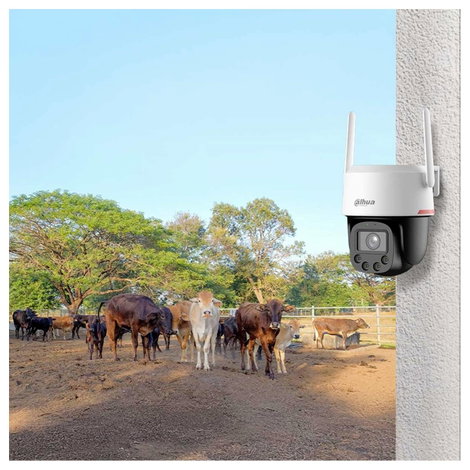 Dahua Technology Picco F1 4G 4MP DH-SD-P4FP-PV-4G-0400B-PRO-EUR WLAN, Vezetékes IP Megfigyelő kamera 7. kép
