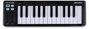 Arturia MicroLab Mk3 Midi kontroller 5. bélyegkép