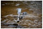 MineLab Xterra Elite Fémkereső 3707-0002 3. bélyegkép