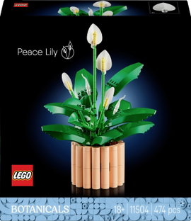LEGO® ICONS™ 11504