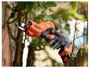 Black & Decker BCPP18D1-QW Akku Akkus kerti olló Akkuval, Töltővel 18 V Lítiumion 8. bélyegkép