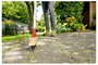 WOLF-Garten 71BAA020650 FBS-M Fuga-kefe 3. bélyegkép
