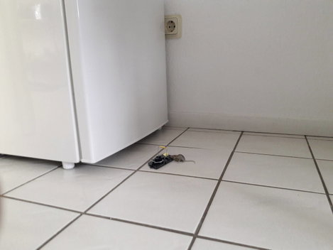 Egércsapda, egérfogó 2 db Gardigo Mouse-Trap 62341 3. kép