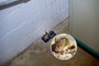 Egércsapda, egérfogó 2 db Gardigo Mouse-Trap 62341 5. bélyegkép