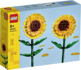 LEGO® ICONS™ 40524