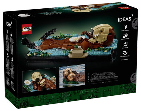 6589578 LEGO® IDEAS 2. kép